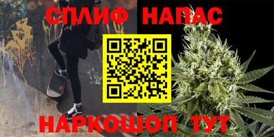 ECSTASY Владикавказ